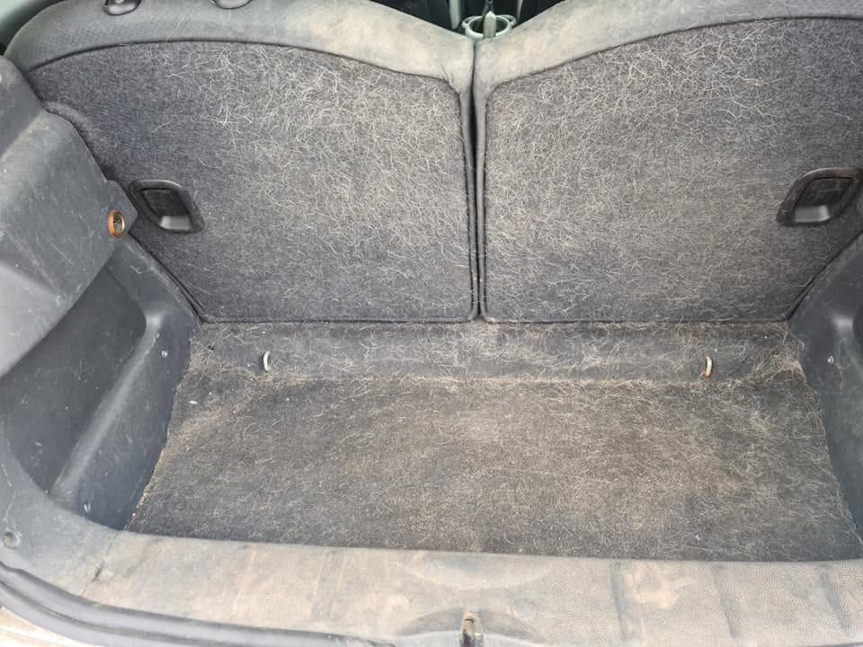 Boot area before — completely matted in thick pet hair covering every surface