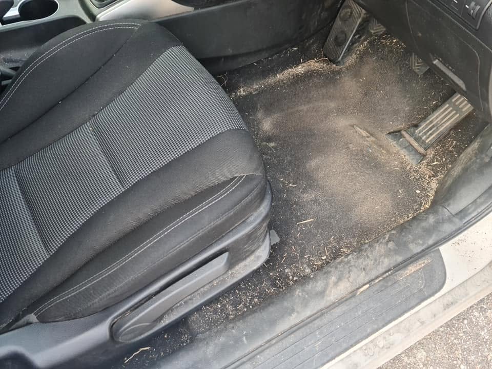 Ford Focus driver footwell before — heavily soiled carpet, grass and mud ground in